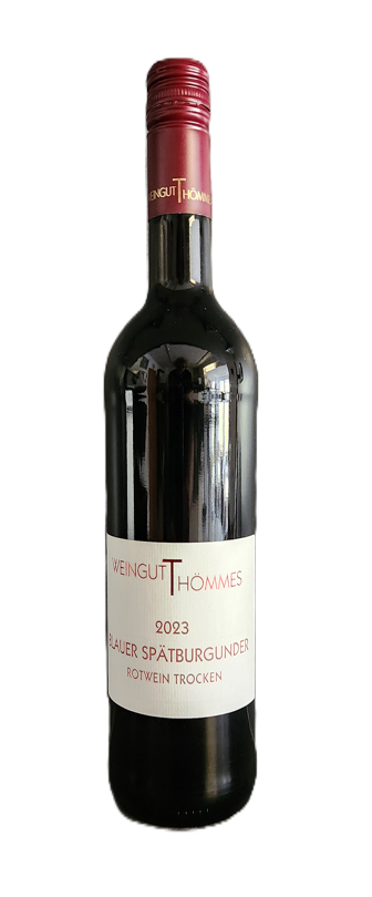 2023er Blauer Spätburgunder Trocken